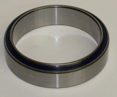 Bird cage bearing